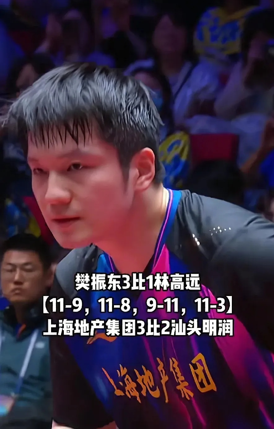 英国乒乓球队碾压韩国乒乓球队，樊振东制霸全场的简单介绍