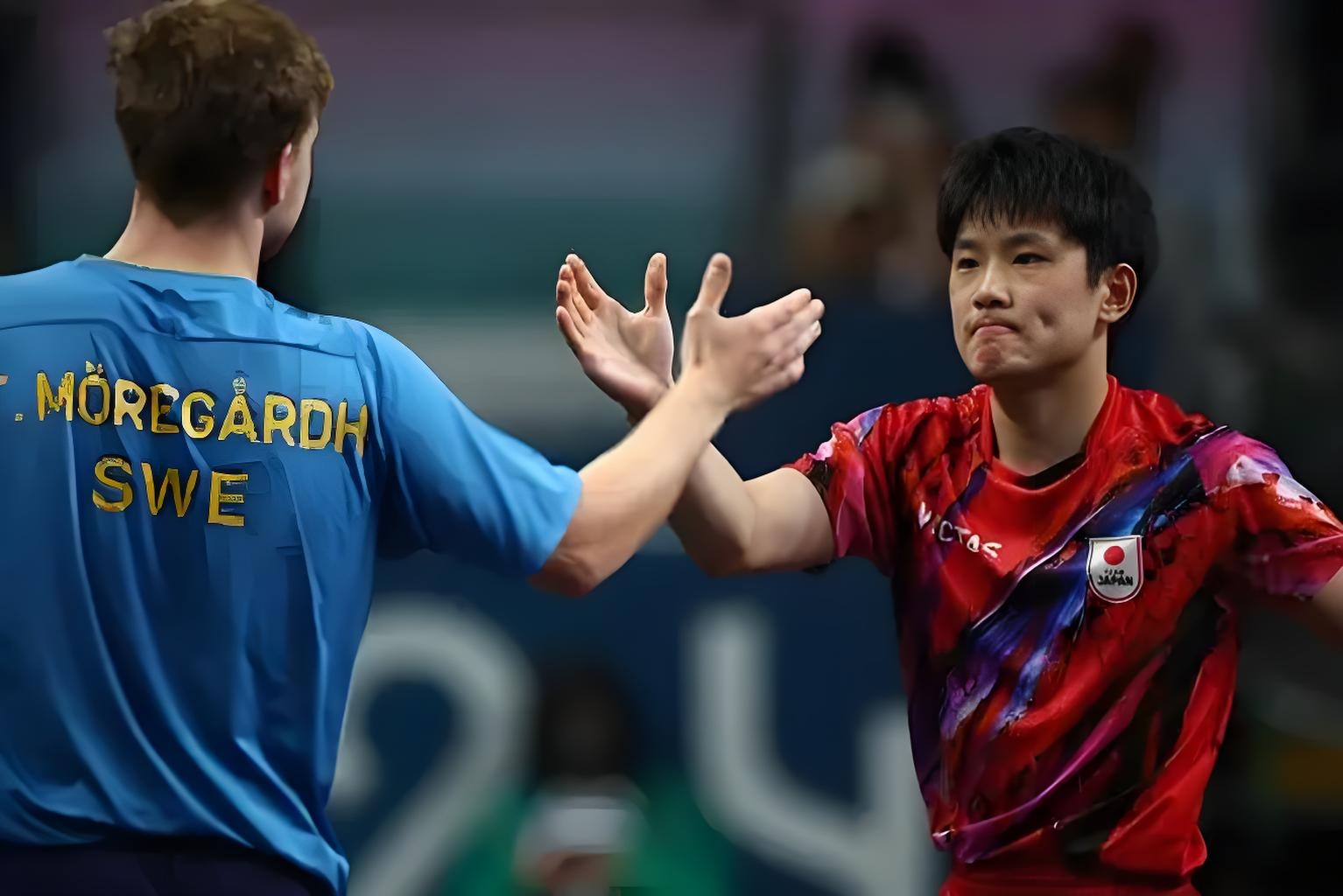 波兰队逆转德国队，张本智和高光表现的简单介绍