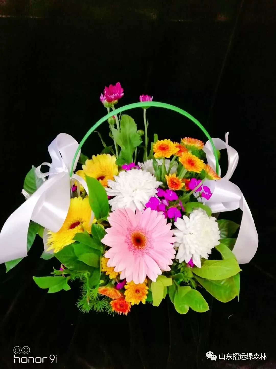 包含兰十开心获得胜利，前景一片清明的词条