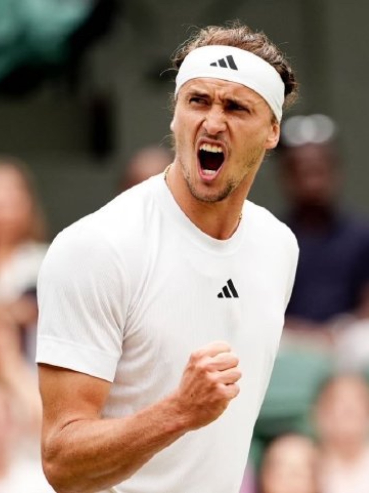 世界网球队力克西班牙网球队，德约科维奇绝境逆转的简单介绍